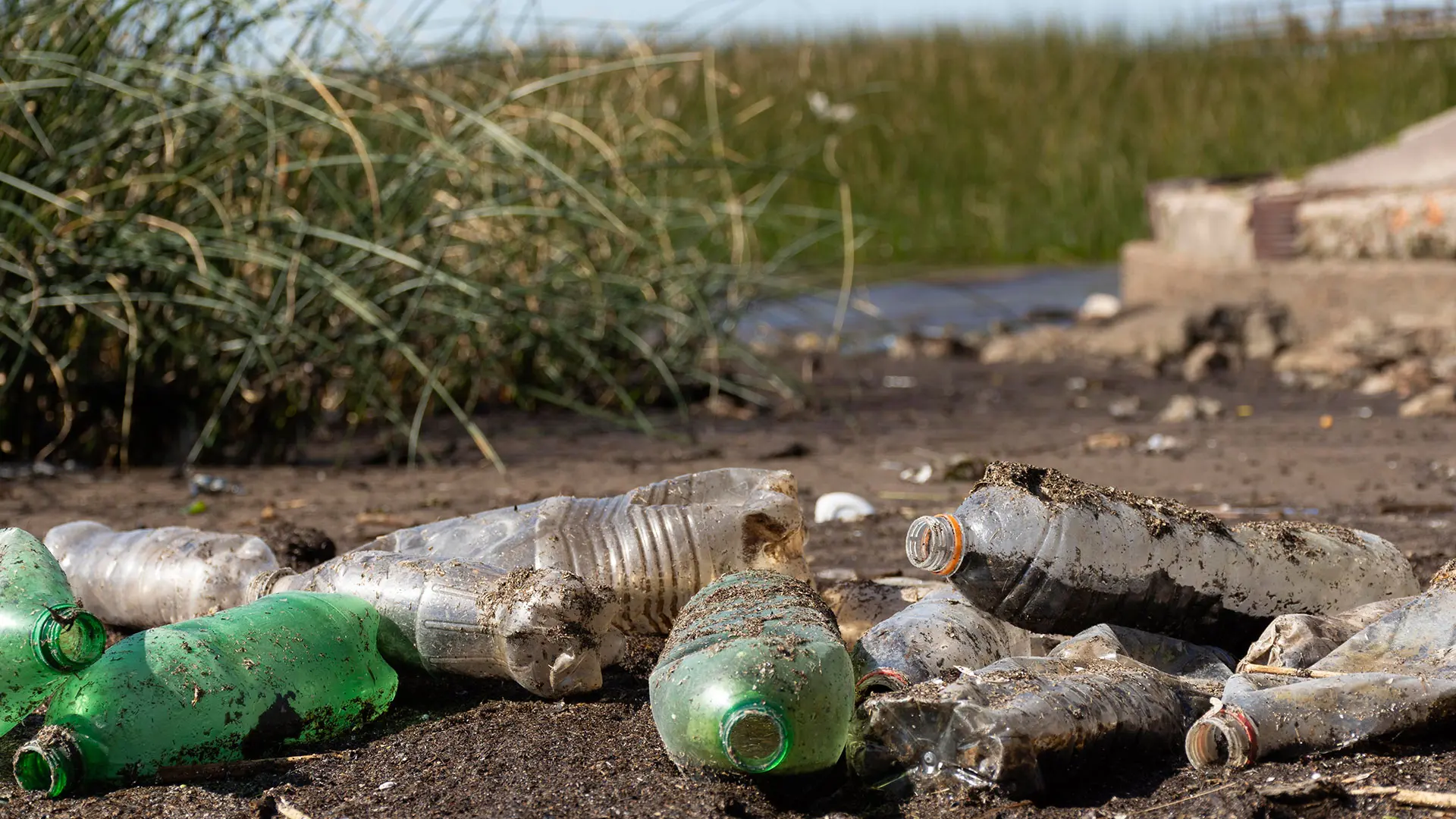 8 países de América Latina contra la contaminación por plásticos.